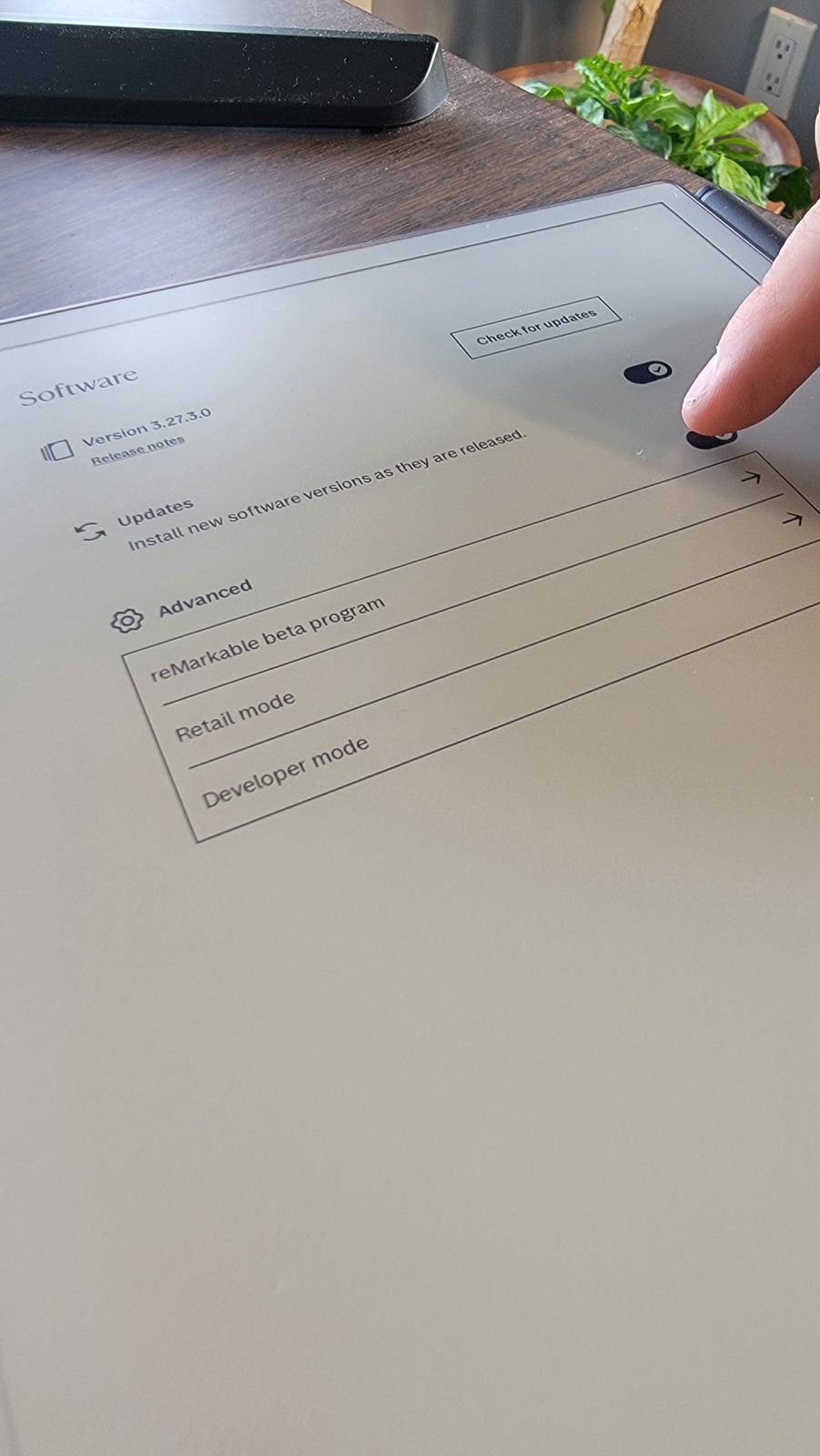 Advanced software settings showing Developer mode